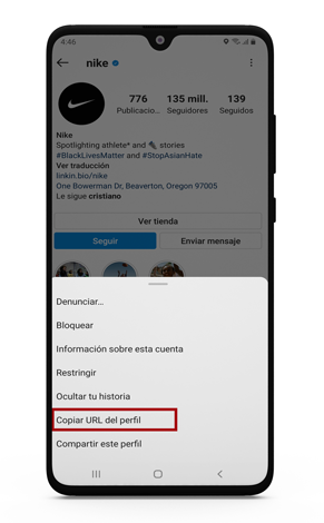 descargar foto perfil instagram
