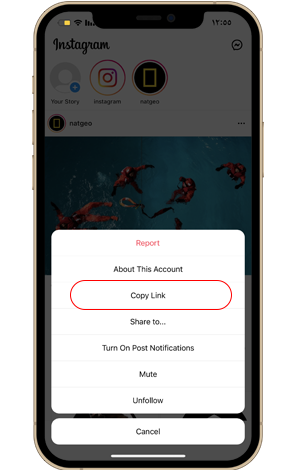 download instagram photos on iphone