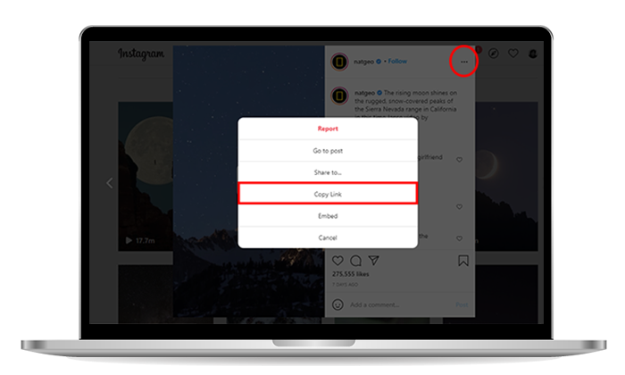 ig reel downloader
