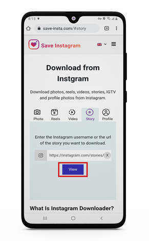 instagram story downloader