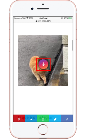 Salve Instagram Reels online