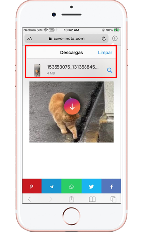 Baixe Instagram Reels no iPhone