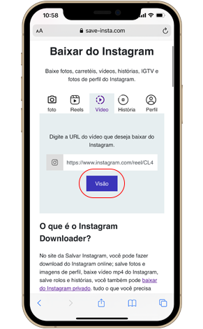 baixe vídeos do Instagram no iPhone