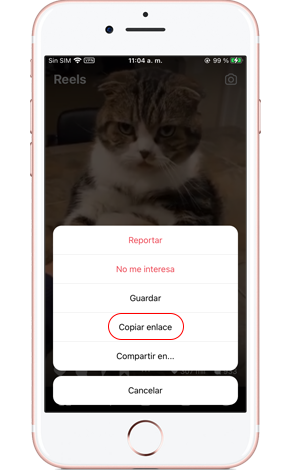 descargar reels de instagram en iPhone