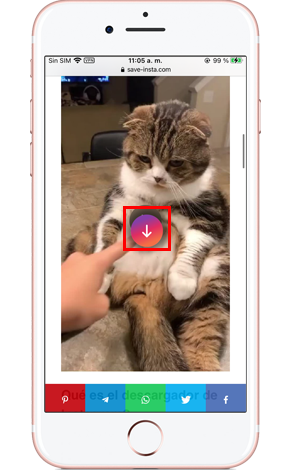 Guardar Insatgram reels en línea