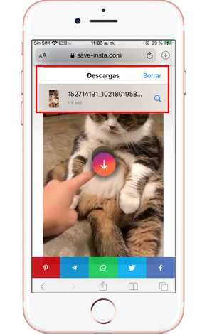 Cómo descargar Instagram Reels en iPhone
