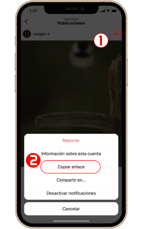 Descargar videos de Instagram en iPhone