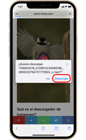 Guardar videos de Instagram en línea