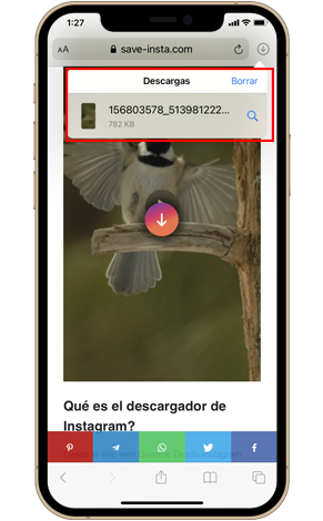 Guardar videos de Instagram en línea
