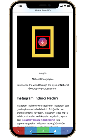 Instagram Profil Resmini Çevrimiçi Kaydet