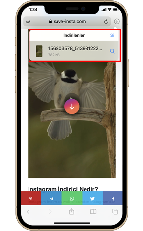 Instagram Videolarını Çevrimiçi Kaydedin