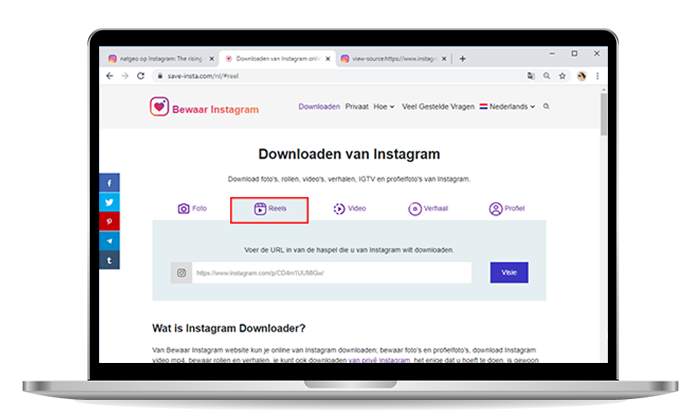 Bewaar Instagram Reels online op pc