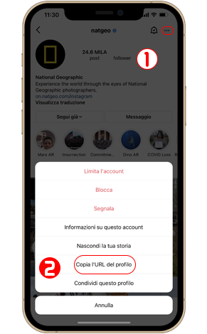 Come scarica l'immagine del profilo Instagram su iPhone?