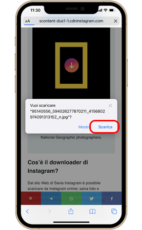 Scarica il profilo Instagram su iOS