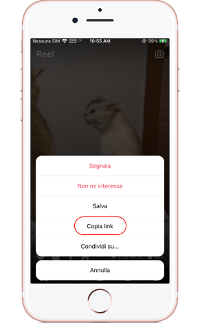 scarica reels di instagram su iPhone