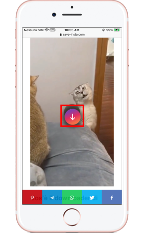 Salva Insatgram reels online