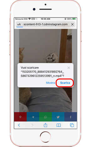 Salva Insatgram reels online