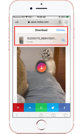 Come scaricare le reels di Instagram su iPhone