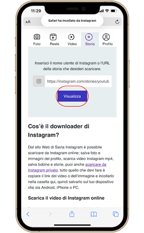 Salva il sito web delle storie di Instagram
