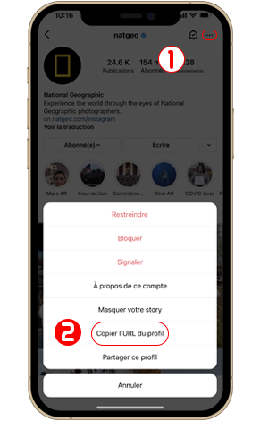 Comment télécharger gratuitement des photos de profil Instagram?