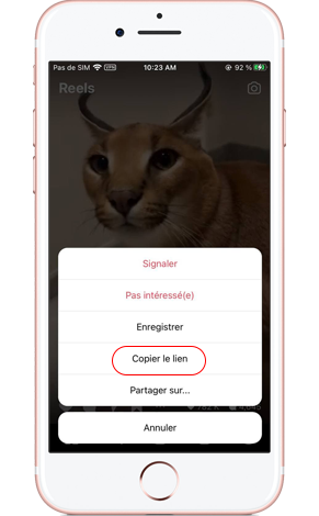 télécharger instagram reels sur iphone