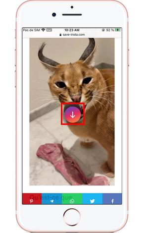 Enregistrer Instagram reels en ligne