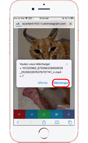 Comment télécharger des bobines Instagram sur iPhone
