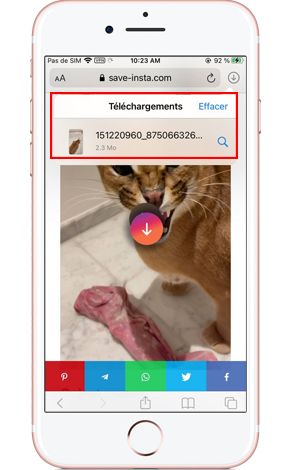 télécharger instagram reels sur iphone