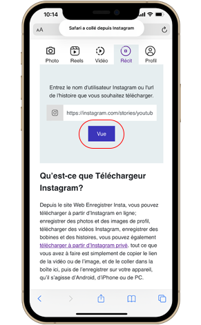 visionneuse et téléchargeur d'histoires instagram