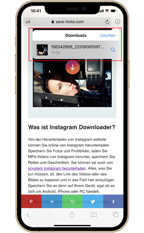 Speichern Sie Instagram Fotos online