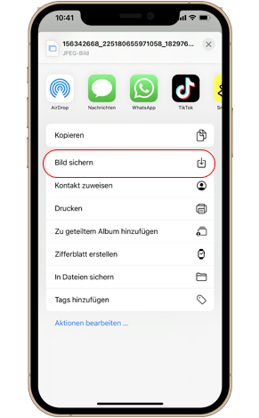 Laden Sie Instagram Fotos auf das iPhone herunter