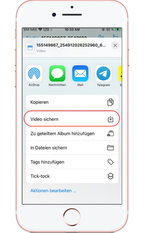 Speichern Sie Instagram Reels online