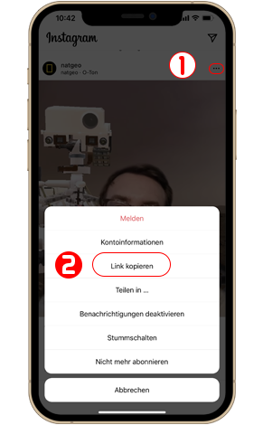 So laden Sie Instagram-Videos auf das iPhone herunter?