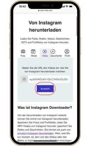 Download-Site für Instagram-Videos