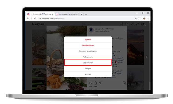 Instagram pic Downloader