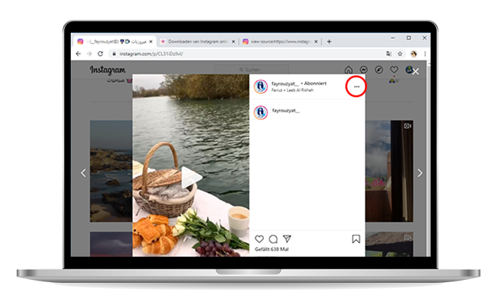 PC’de instagram videolarını indirin internet üzerinden