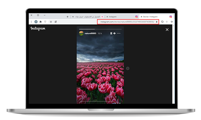 descargar historias de Instagram en la pc