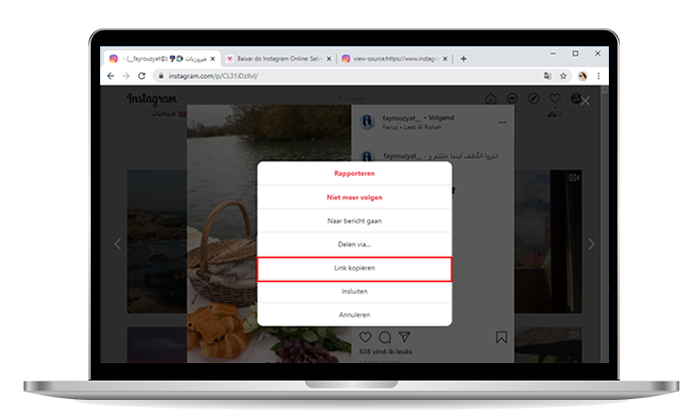 Download Instagram video's op pc