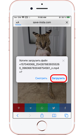 Как скачать Reels из инстаграма на iPhone?