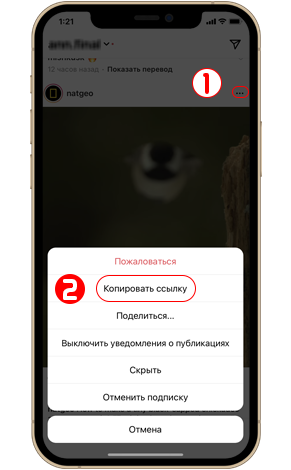 Скачать видео из инстаграма на iPhone