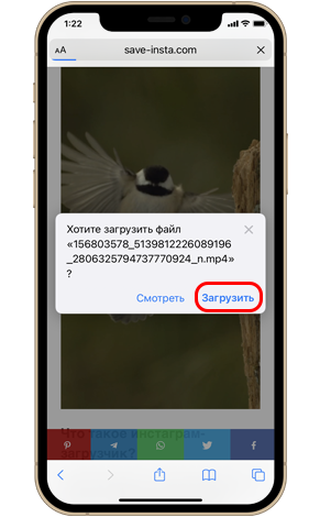 Как скачать видео из инстаграма на iPhone?