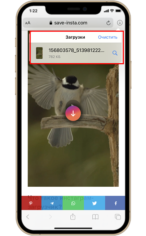Сохранить видео из Instagram онлайн