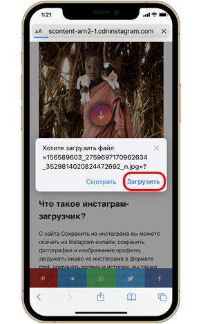 Как скачать все фото из чужого Instagram