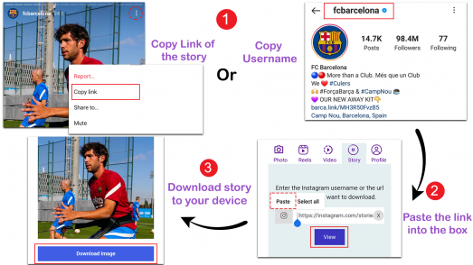 instagram story downloader