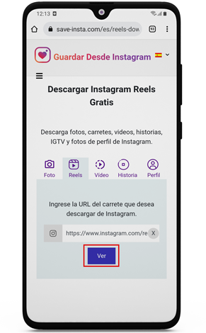 descargar reel de instagram gratis
