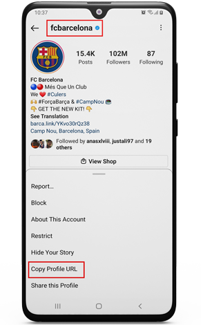 view instagram profile anonymously