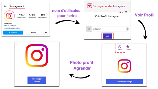 voir-profile-instagram-523x294.png