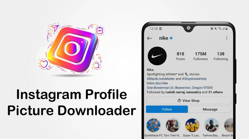 instagram profile picture downloader online