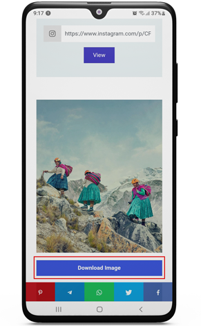 instagram pic downloader