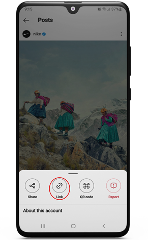 download instagram photo online
